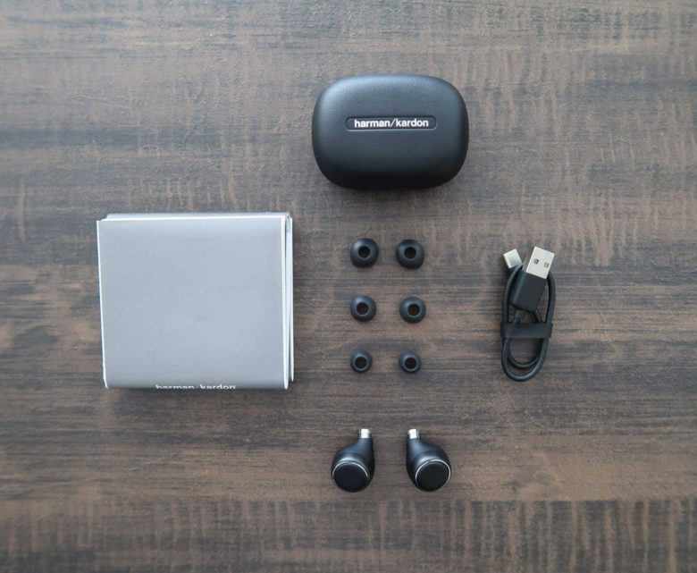 Review: Harman Kardon FLY TWS Earbuds – Tech Jio