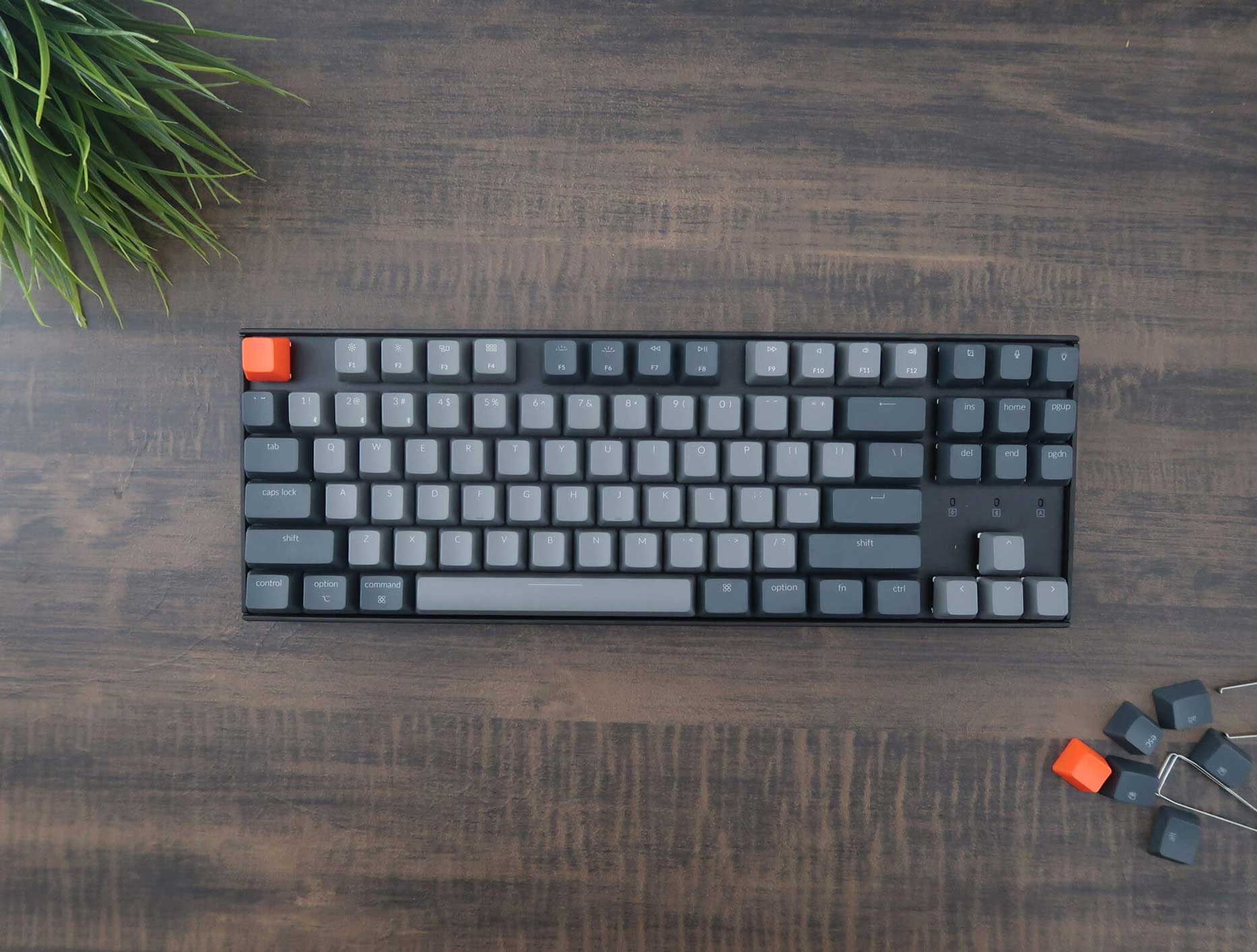 Review: Keychron K8 TKL Wireless Keyboard – Tech Jio