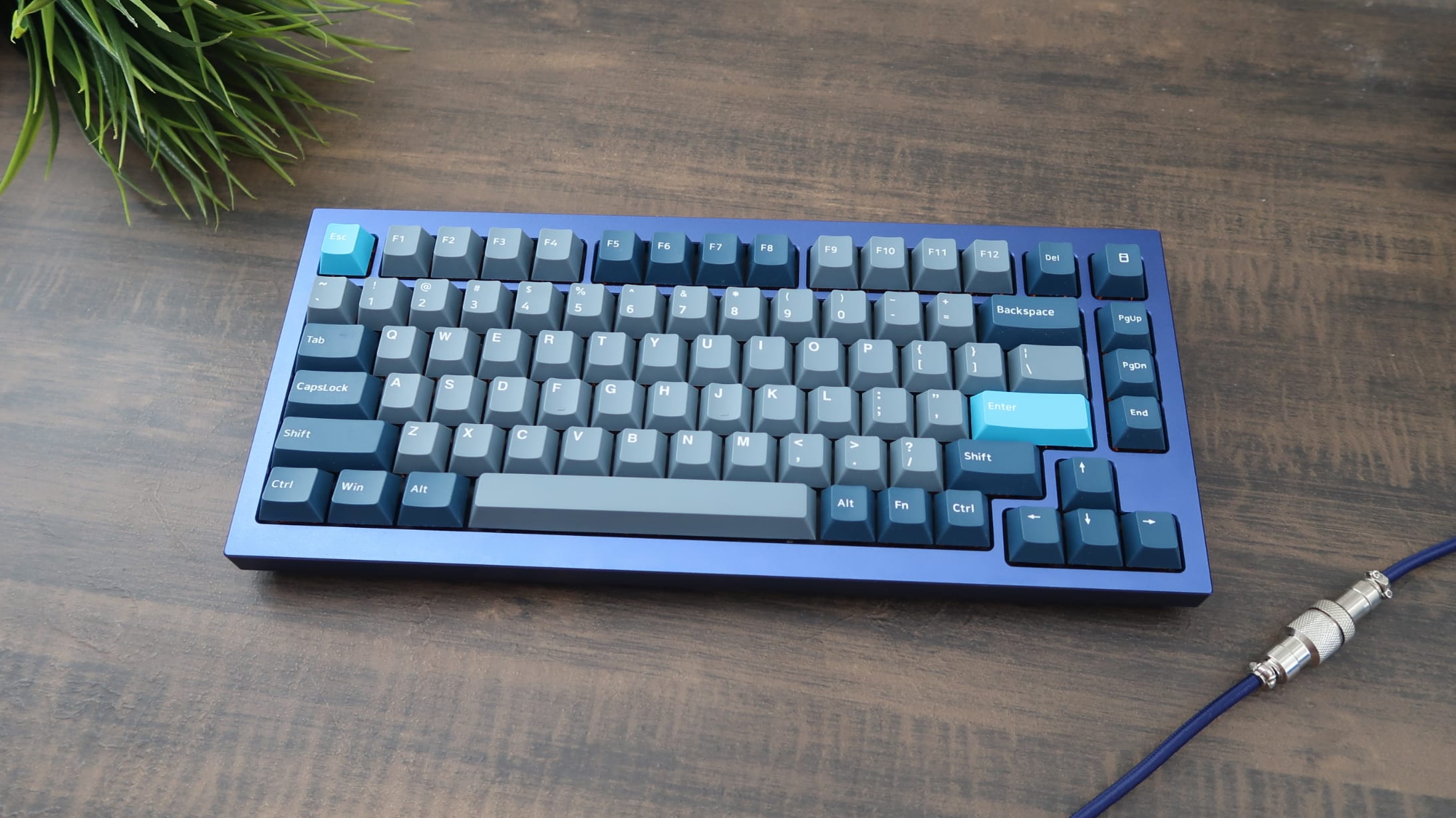 Review: Keychron Q1 75% QMK Custom Mechanical Keyboard – Tech Jio