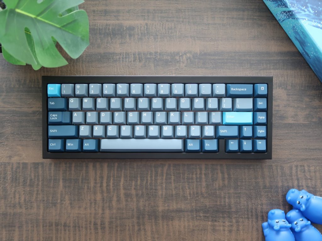 QK65 with PBT Whale